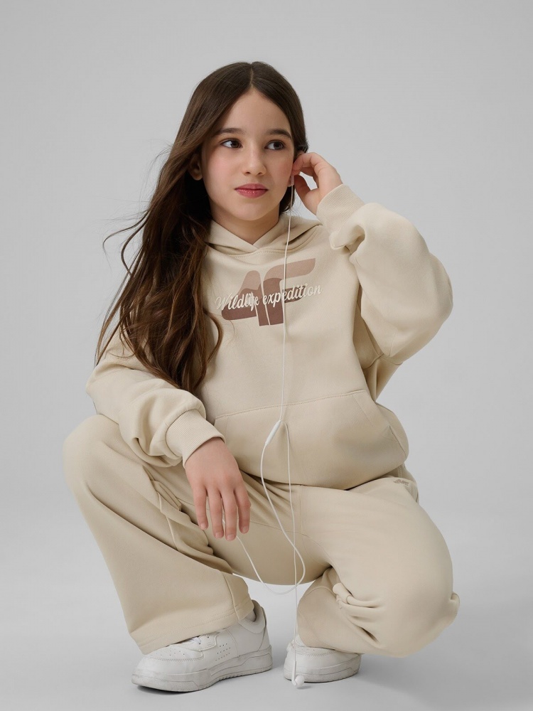 Джемпер 4F SWEATSHIRT F2270 4FJWSS26TSWSF2270-83S р.128 бежевый