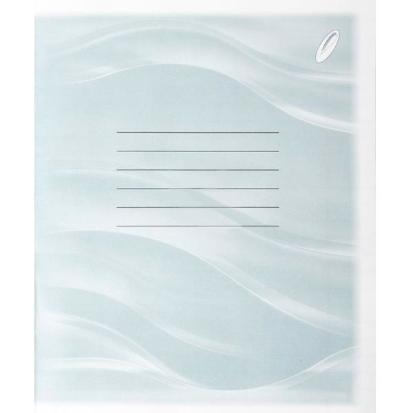 Тетрадь линия Brisk эконом 12 листов