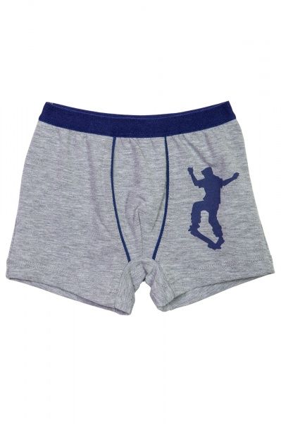 Трусы для мальчика KOSTA 0363-4 р.134-140 серый 