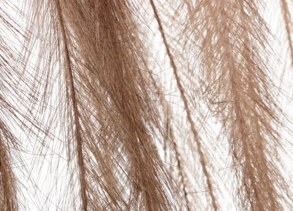 Гілочка декоративна 130 см темно-коричневий з пір’ям YZA000930