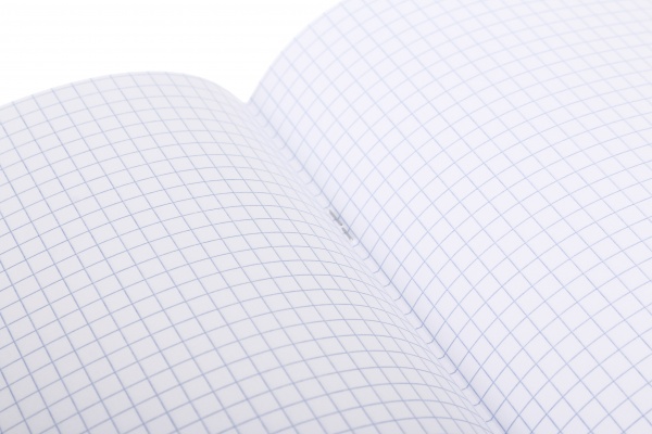 Тетрадь школьная Graffiti 48 листов клетка Nota Bene