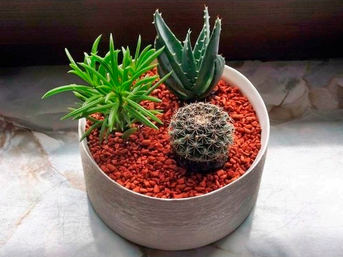 Субстрат SERAMIS для кактусов и суккулентов 2,5 л