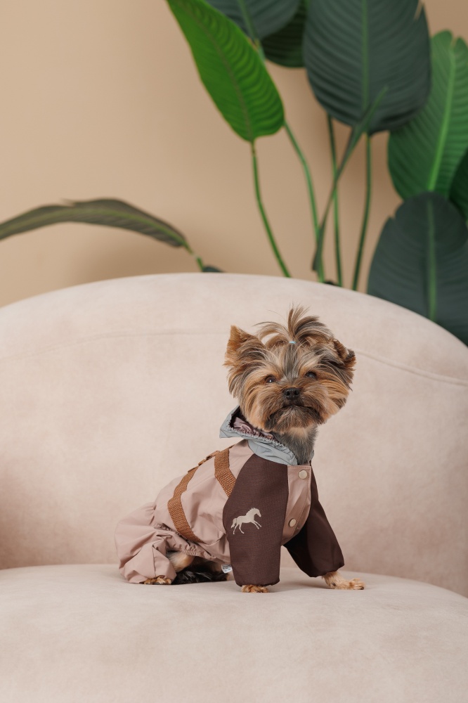 Дождевик Pet Fashion Mustang M шоколадный