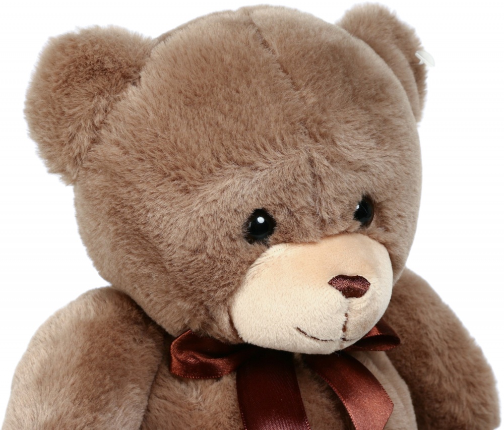 М'яка іграшка HW Plush Paws Ведмідь 25 см коричневий HF10926 10'