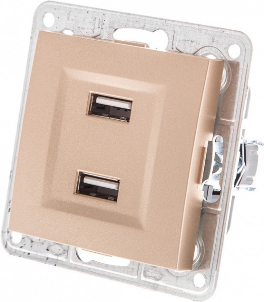 Розетка USB подвійна LXL Tesla без шторок без кришки бронзовий TLXL3533A champagne