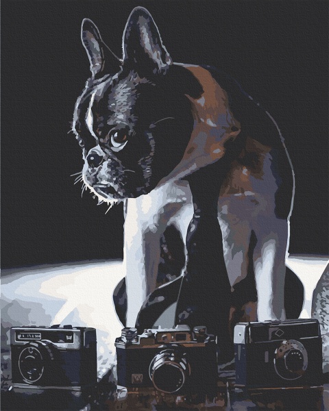 Картина за номерами Сором'язливий фотограф 11642-АС 40х50 см ArtCraft 