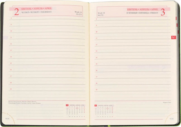 Щоденник недатований лінія Leo Planner Destiny A5 251950