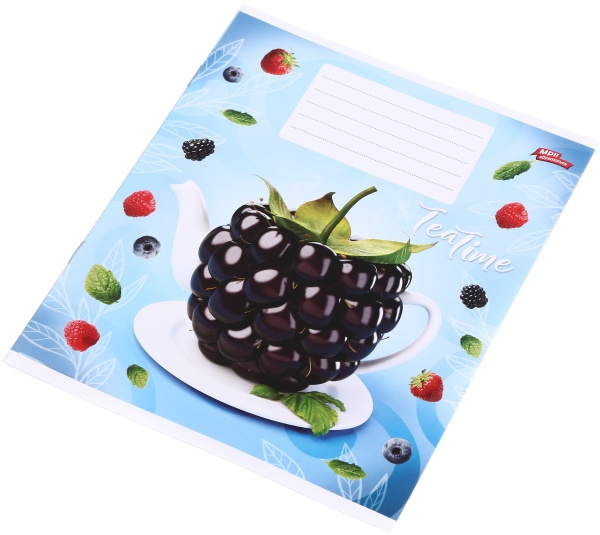 Зошит шкільний 12 аркушів у косу лінію в асортименті Мрії збуваються