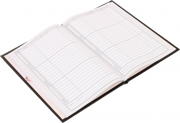 Щоденник шкільний Dragon Nota Bene