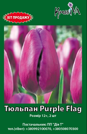 Луковица KrassIVA тюльпана Purple flag 2 шт. 