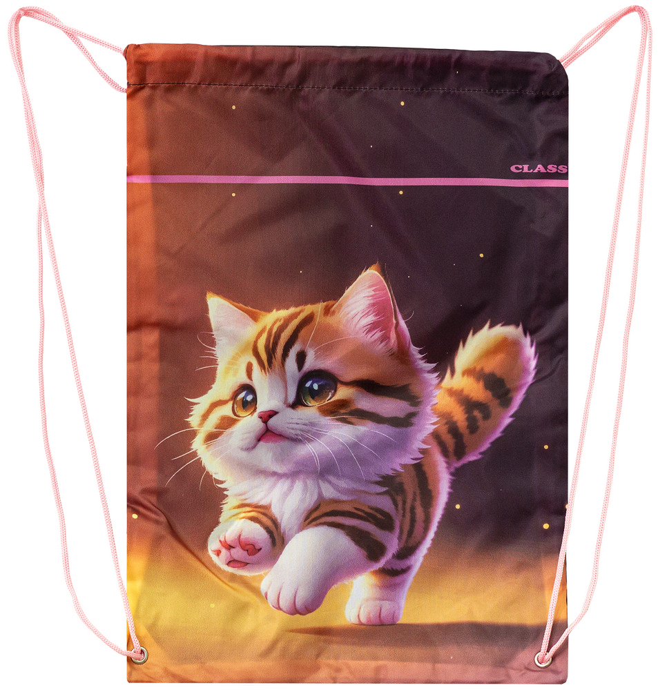 Сумка для взуття CLASS Kitty 46х33 см 2535C (13010138)