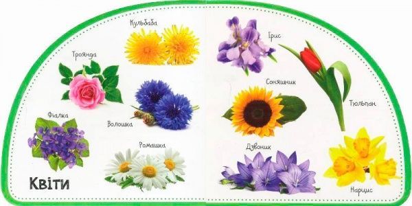 Книга Мария Жученко «Рослини. Дивимось і запам'ятовуємо» 978-966-942-075-6