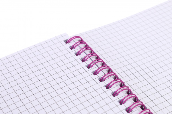 Книга для записей на спирали Котик-ангелочек 80 листов А5