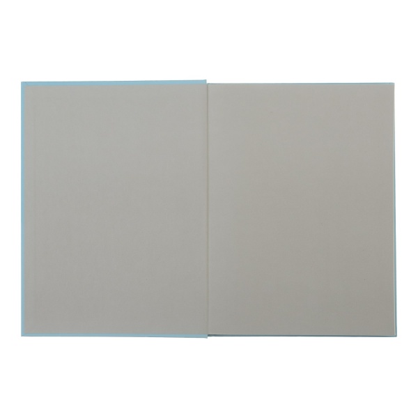 Книга для записей Favourite Pastel А5 96 лист. клетка мятный Buromax