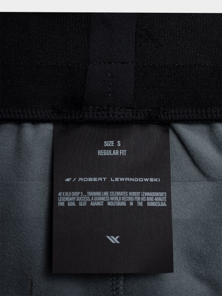 Брюки 4F TROUSERS FNK RL9AW22TFTRM156-27S р. 2XL серый