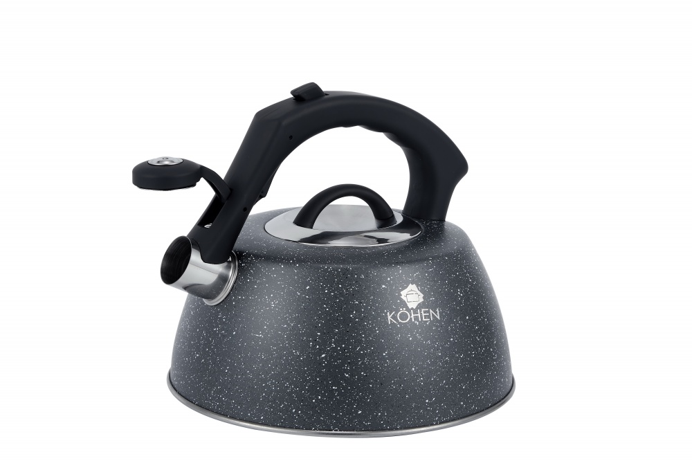 Чайник Kohen Rocky 3 л KN93002