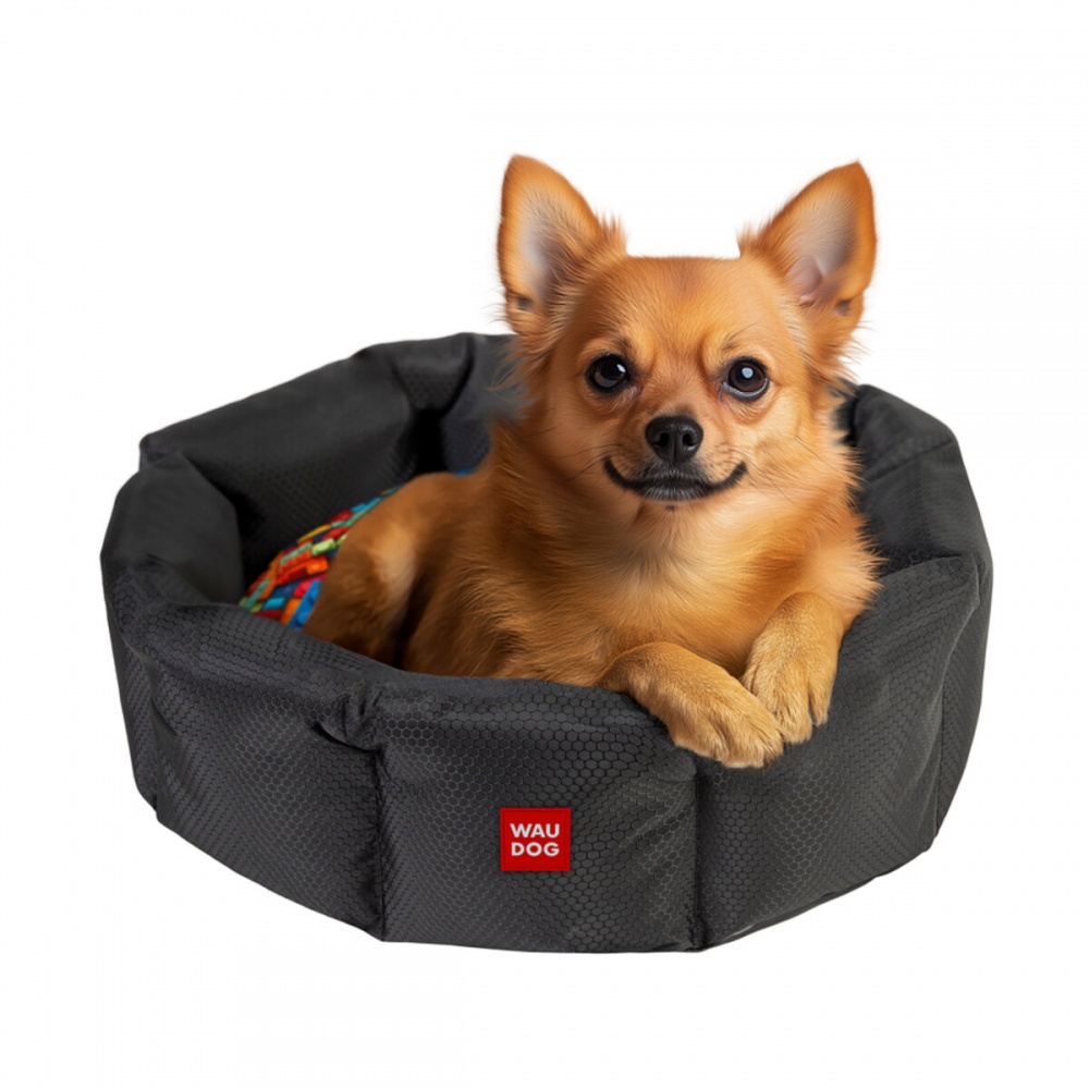 Лежанка Waudog рисунок