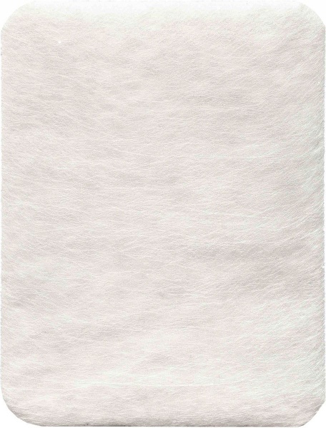 Фильтр для пылесоса Philips FC8010/02