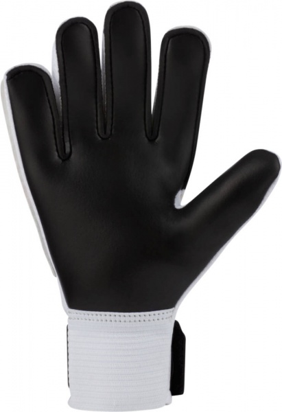 Вратарские перчатки Nike CQ7795-101 3 белый