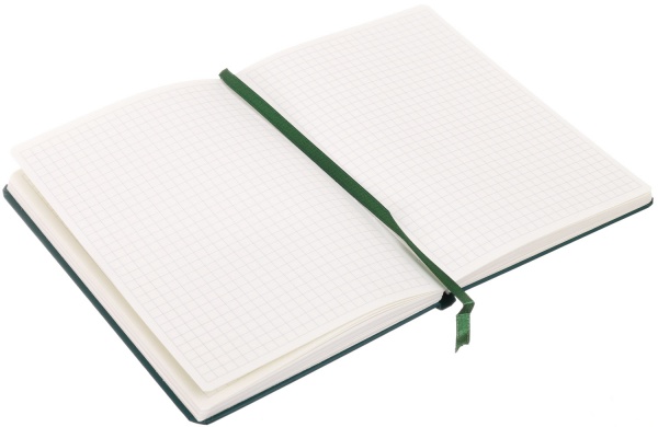 Набор канцелярский Hello santa зеленый 