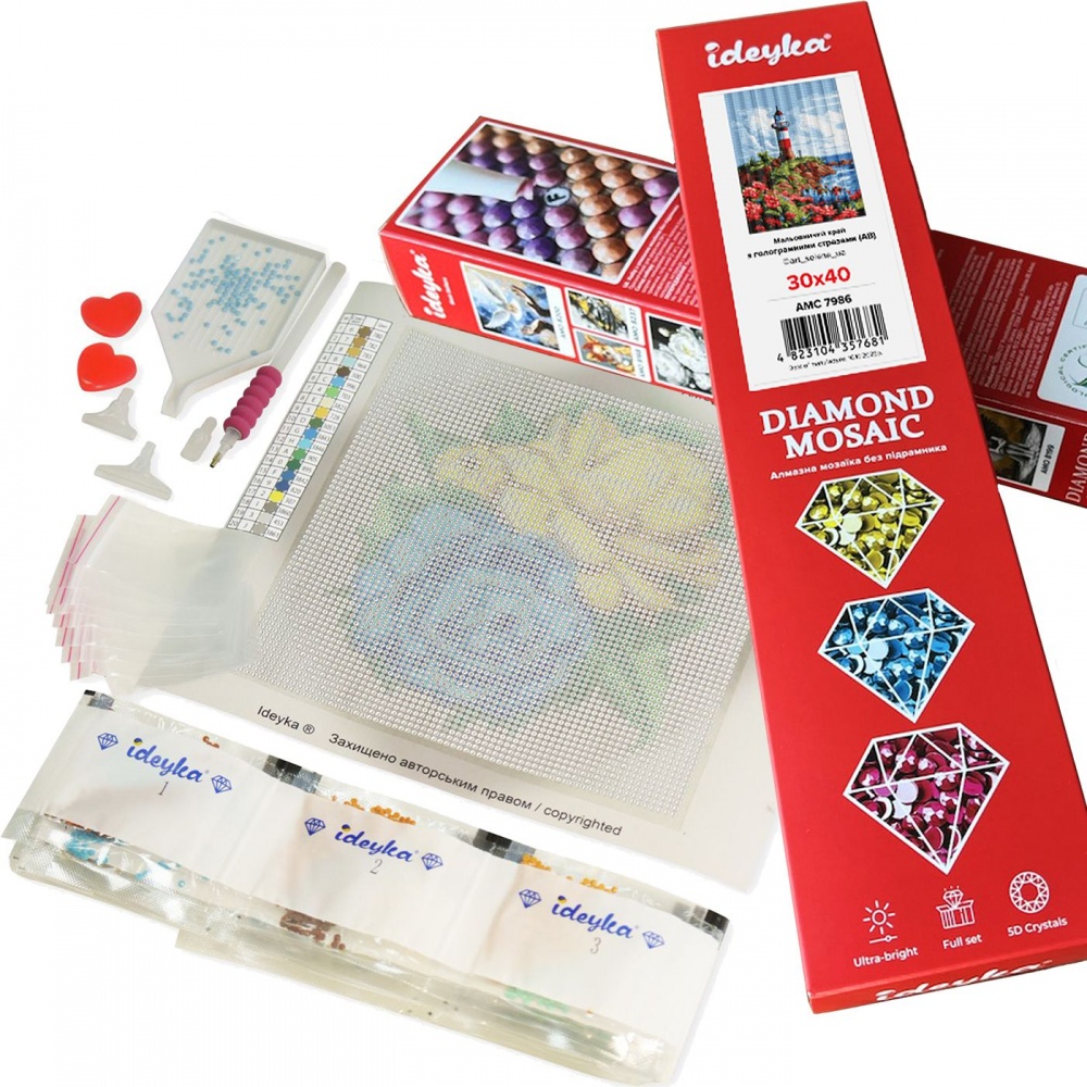 Алмазна мозаїка без підрамника Магічний політ ©art_selena_ua Ideyka