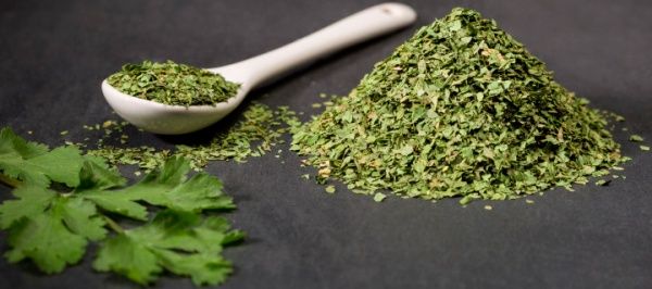 Зелень кинзы Приправка сушенная 15 г (4820195511473)