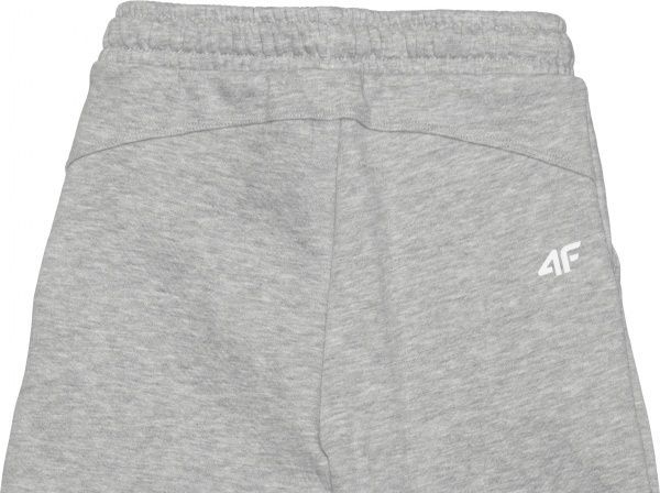Брюки 4F HJZ20-JSPDD001-25M р. 122 серый меланж