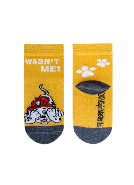 Носки унисекс Conte-Kids 3072 Paw Patrol (рисунок) 738 р.15-16 горчичный 