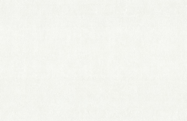 Обои виниловые на флизелиновой основе Vinil Печворк стена ЭШТ 1-1564 1,06x10,05 м 