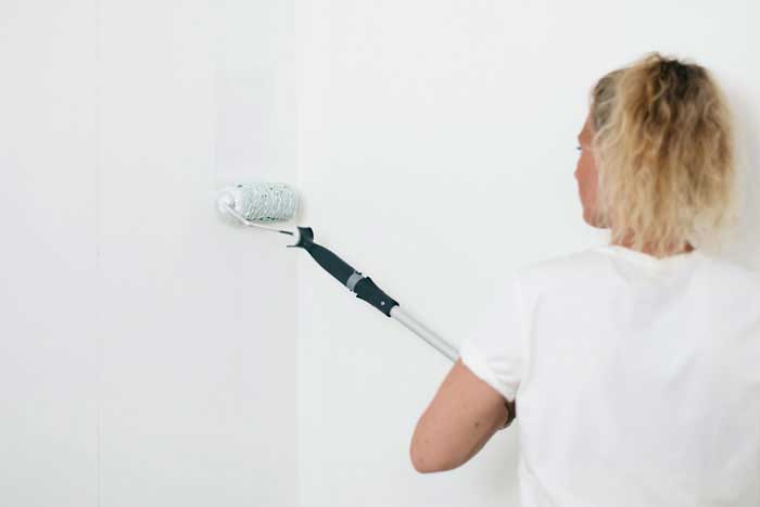 Запасной валик Anza Classic Anlon Mini 100 мм 1 шт.