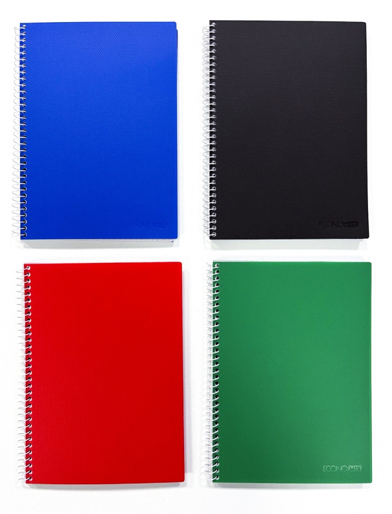 Блокнот Economix А4 80 арк. клітинка асорті E20309