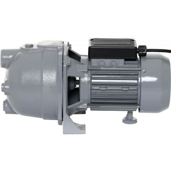 Насос садовый центробежный Sbrigani 100 SA