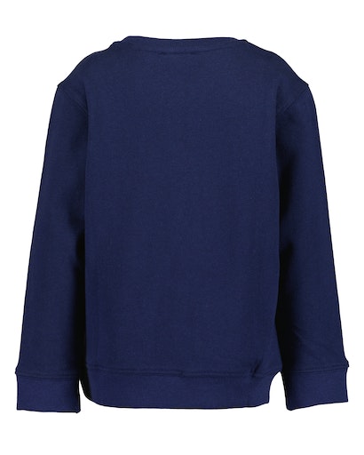 Реглан для мальчика Blue Seven трикотажный Дино р.116 ультрамарин 864701 X* 