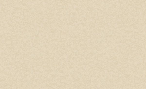 Шпалери зі спіненого вінілу Bravo 86018BR91 1,06x10,05 м 