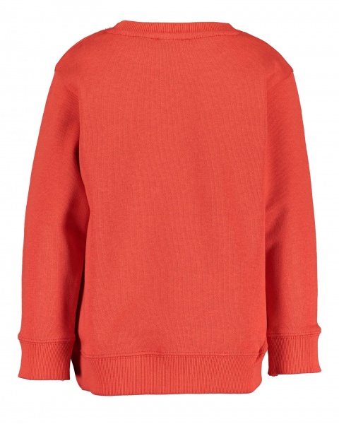 Реглан унисекс Blue Seven р.128 красный 817595 X_311_р.128 