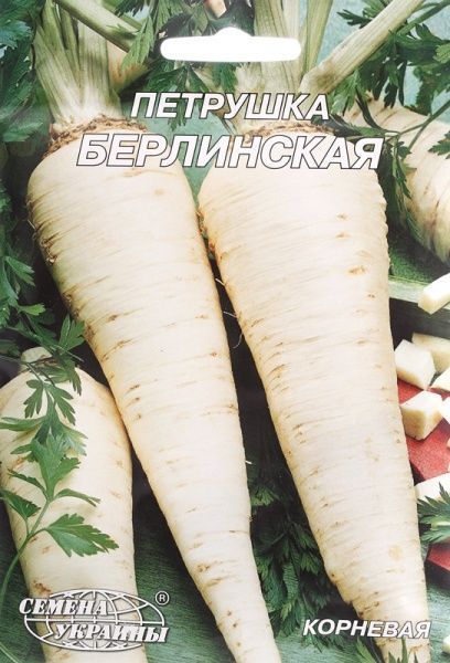 Насіння Семена Украины петрушка коренева Берлінська 20г