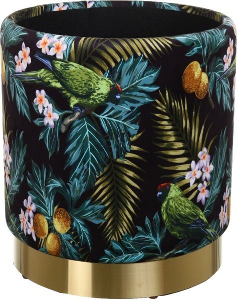 Сундук-пуф Francois Parrot 31,5х31,5х38 см черный с принтом 