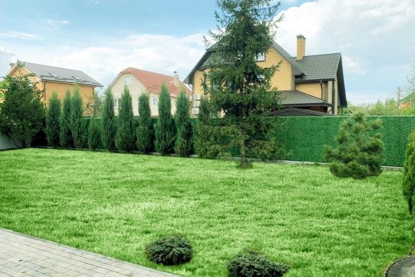 Паркан декоративний Зелений Забор 1 м х 10 м 