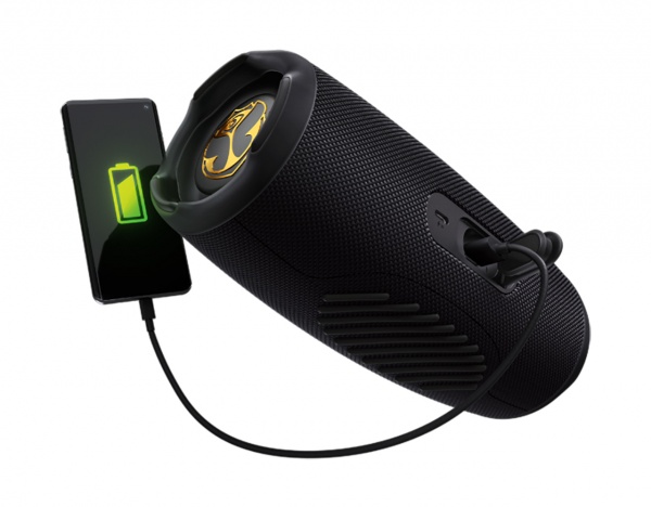 Портативная колонка JBL Charge 5 Tomorrowland Edition 1.1 black (JBLCHARGE5TMLEU)