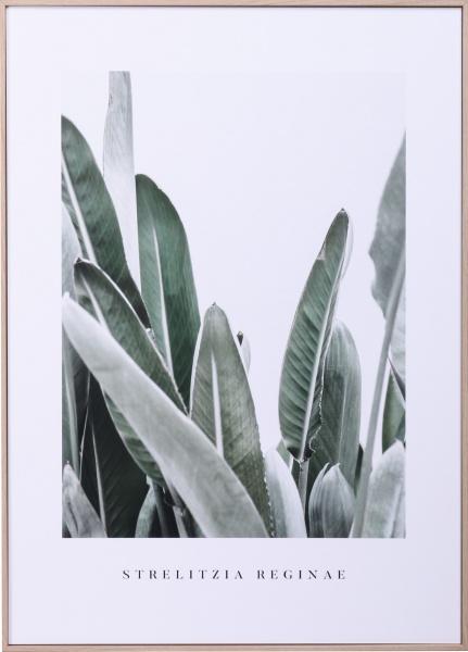 Картина Bali 50x70 см Styler OB-14049 