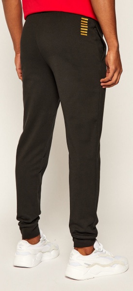 Брюки EA7 8NPP53-PJ05Z-0208 р. XL черный