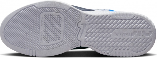 Кроссовки Nike NIKE AIR MAX ALPHA TRAINER 5 DM0829-401 р.44,5 синий