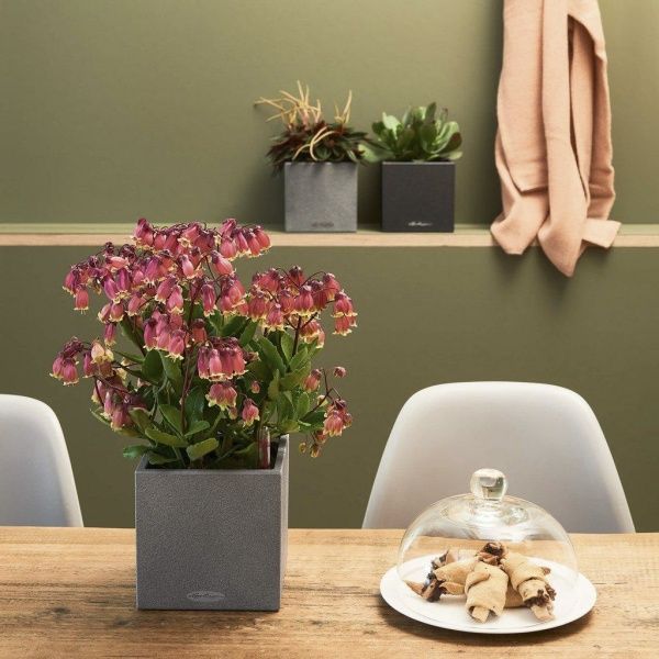 Вазон пластиковий Lechuza CANTO Stone 14 квадратний 0,5л пісочно-бежевий (13471) 