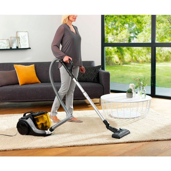 Пылесос Rowenta RO6984EA 