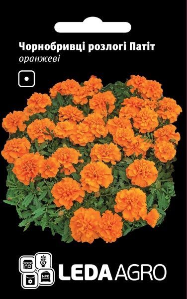 Насіння LedaAgro чорнобривці розлогі Патіт оранжеві 0,25 г (4820119793800)