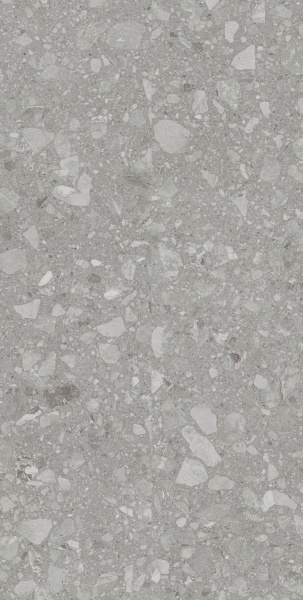 Плитка Allore Group Terra Grey F P R Mat (51,84) 60x120x8 