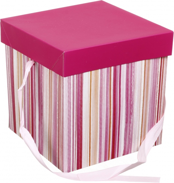 Коробка складная Полосы/горох 20x20x20 см (EBXM9801)
