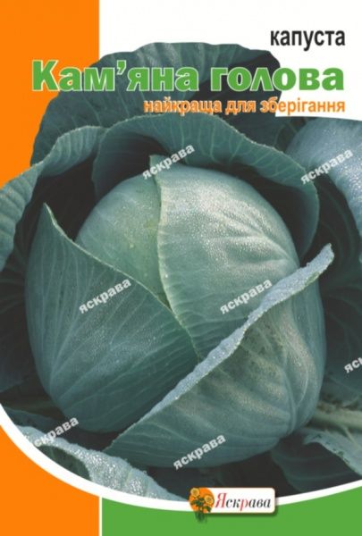 Семена Яскрава капуста белокочанная Каменная Голова пакет гигант 5г (4823069803339)