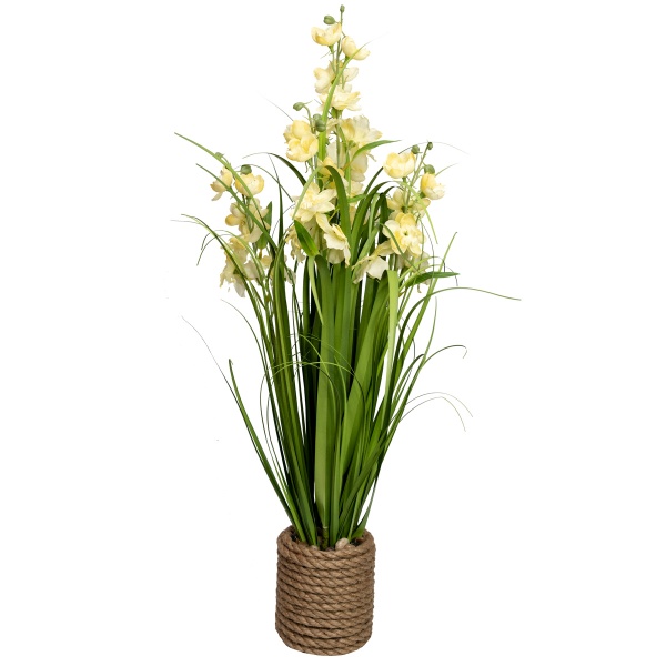 Растение декоративное Окопник желтый в горшке 75 см Девилон