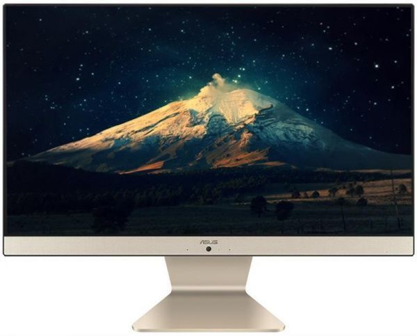 Моноблок Asus V222GAK-BA110D (90PT0211-M07250) 21,5 (90PT0211-M07250) 